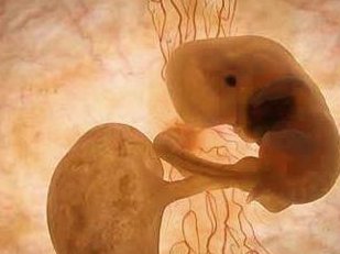 泰国LRC医院生殖中心试管费用参考，夫妻体检也要收费