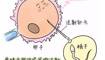 北京能做三代试管的医院有很多，排名第 一的医院竟然是这家!