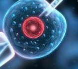 2026昆明试管婴儿医院排名，附成功率及费用介绍