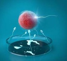 无锡想造试管生二胎需要多少钱看这，有冷冻胚胎一般不超三万