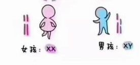 在宁波高龄女性备孕如何避免畸形？