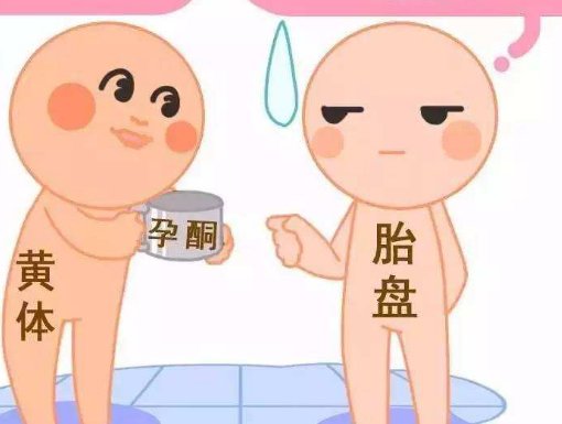 卵泡黄素化在株洲做试管需要多长时间？详解各流程时间安排