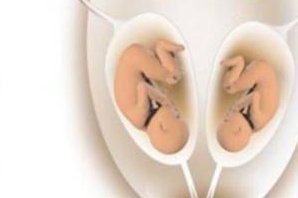 孕早期血压变化，暗示着你可能怀了个“小王子”？